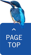 PAGETOP